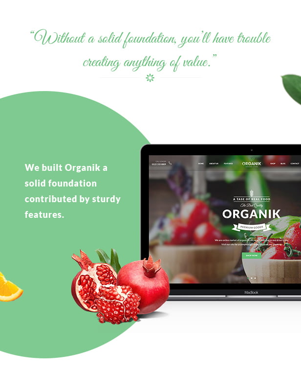 1592815749 481 Organic Food Store WordPress Theme Organik by ThemeMove