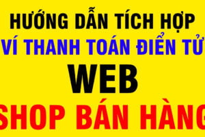 Tích Hợp Ví Thanh Toán Điện Tử, Web Shop Bán Hàng Online MoMo, Zalo Pay 001 Tích Hợp Ví Thanh Toán Điện Tử, Web Shop Bán Hàng Online MoMo, Zalo Pay 001